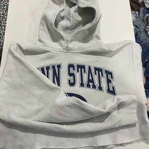 Penn state cropped hoodie